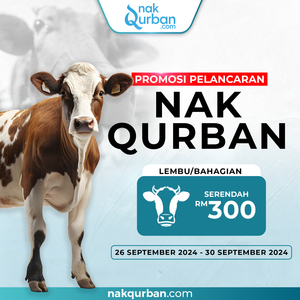 1 Bahagian Lembu – RM300